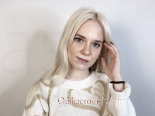 Odiliacrosier