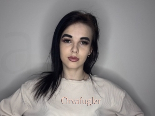Orvafugler