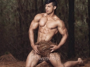 Owenwolfe