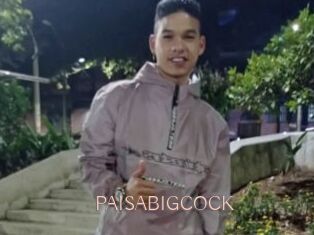 PAISABIGCOCK