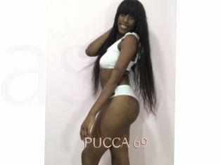 PUCCA_69