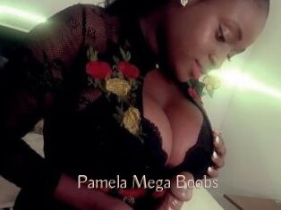 Pamela_Mega_Boobs