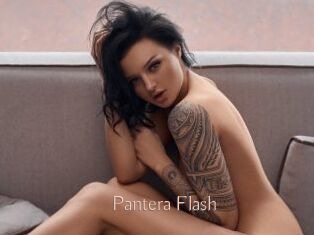 Pantera_Flash