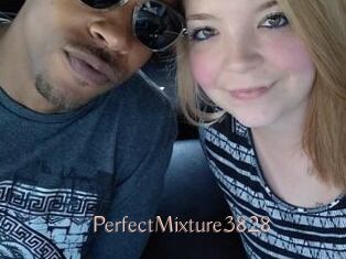 PerfectMixture3828