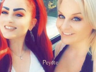 Peyote