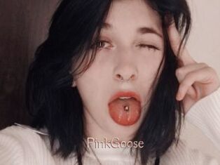 PinkGoose Anal Sexe