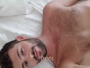 Pj001