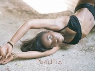 PlayfulPrey