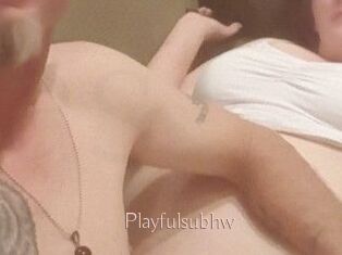 Playfulsubhw