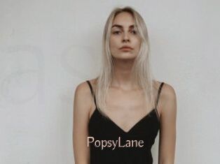 PopsyLane Anal Sexe
