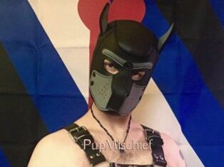 PupMischief