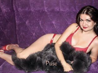 Puse