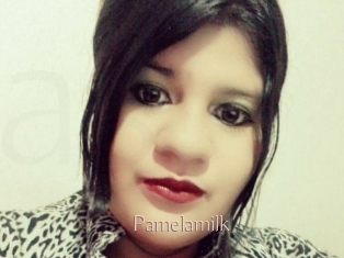 Pamelasuite