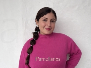 pamellarios Anal Sexe