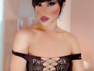 Paytonbigcock