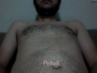 Pedwil