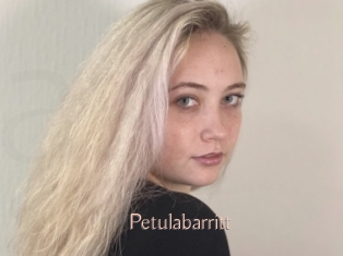 Petulabarritt