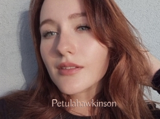 Petulahawkinson