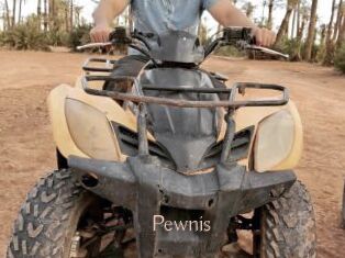 Pewnis