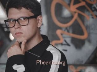 Phoenixzorg