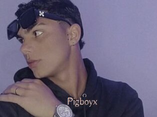 Pigboyx
