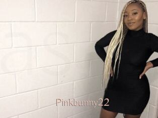 Pinkbunny22