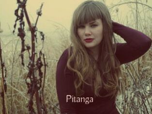 Pitanga