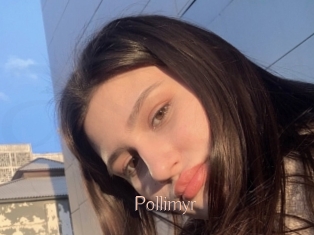 Pollimyr