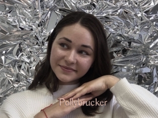 Pollybrucker
