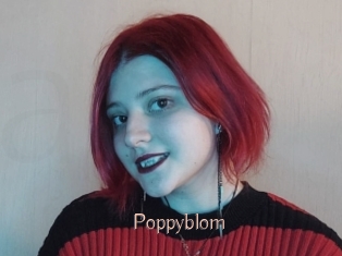 Poppyblom