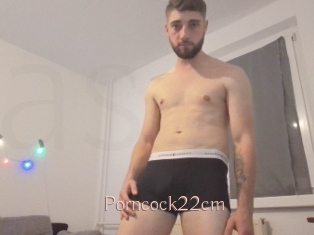 Porncock22cm