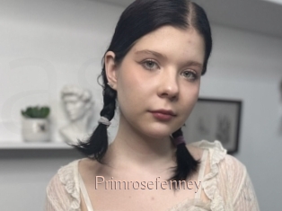 Primrosefenney