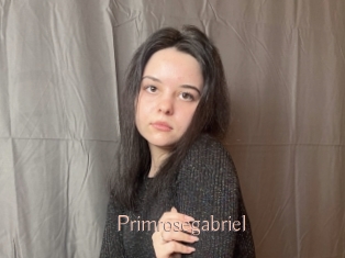 Primrosegabriel