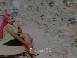 Princess23