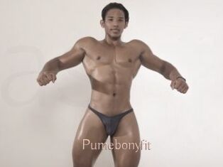 Pumebonyfit
