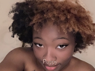Puppy