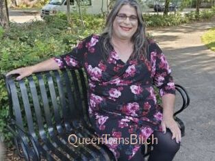 QueenTransBitch