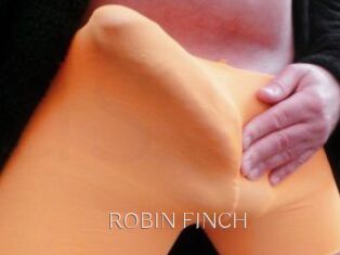 ROBIN_FINCH