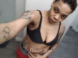 Raven_Stud