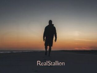 RealStallion