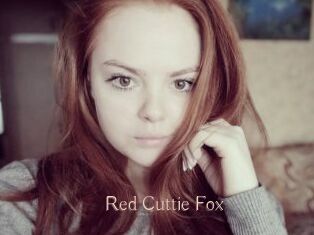 Red_Cuttie_Fox