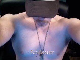 RexRooster Anal Sexe