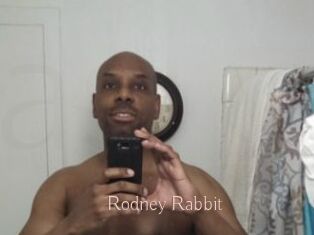 Rodney_Rabbit