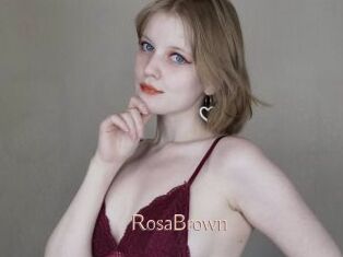 RosaBrown