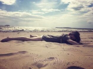 Rosehip_May
