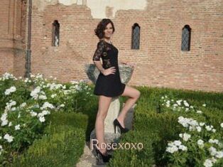 Rosexoxo