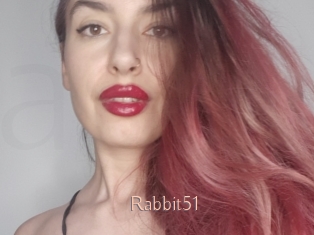 Rabbit51