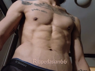 Rippedasian66
