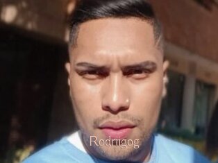 Rodriigog