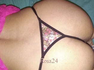 Rosa24
